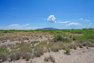 165 N Blue Jay Rd, Willcox, AZ 85643 - Photo 1