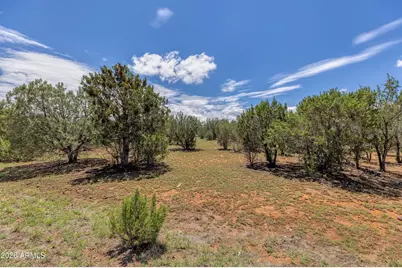 2277 Sunrise Road #361, Overgaard, AZ 85933 - Photo 9