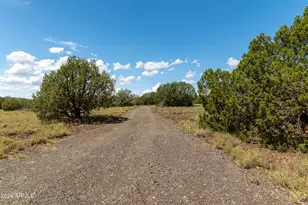 2945 Muriel Dr, Williams, AZ 86046 - Photo 11