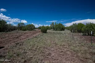 2945 Muriel Dr, Williams, AZ 86046 - Photo 43