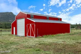 Tbd Cr 2276 --, Nutrioso, AZ 85932 - Photo 1