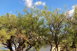 5447 S Ranch Rd, Sierra Vista, AZ 85650 - Photo 25