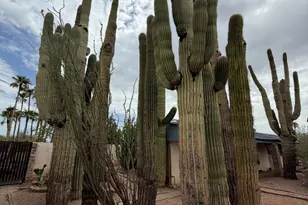 8712 E Main St, Mesa, AZ 85207 - Photo 53