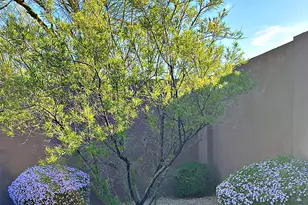7140 E Night Glow Cir, Scottsdale, AZ 85266 - Photo 55