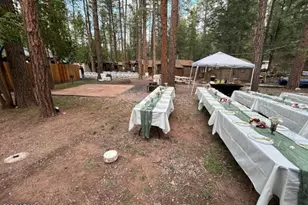 1441 E Christopher Creek Loop, Payson, AZ 85541 - Photo 27
