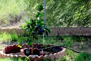 108 S 15th St, Tombstone, AZ 85638 - Photo 27