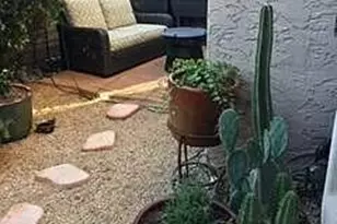 4813 N 73rd St, Scottsdale, AZ 85251 - Photo 3