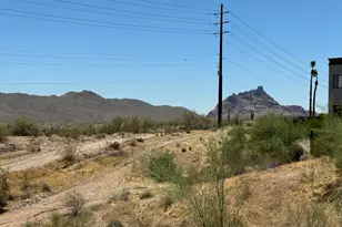 10401 N Saguaro --, Fountain Hills, AZ 85268 - Photo 19