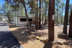 181 N 6th Dr, Show Low, AZ 85901 - Photo 21