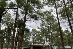 181 N 6th Dr, Show Low, AZ 85901 - Photo 3