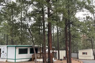 181 N 6th Dr, Show Low, AZ 85901 - Photo 25