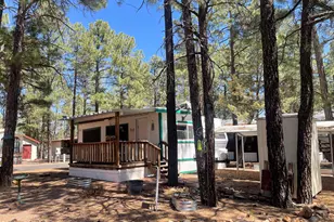 181 N 6th Dr, Show Low, AZ 85901 - Photo 7