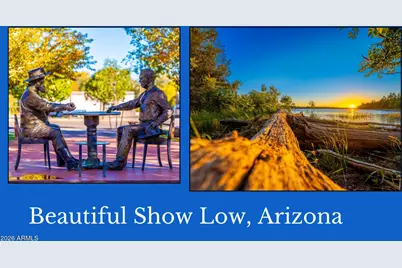 4 Parcels N Shady Oak 404-69-005 Road E #D, Show Low, AZ 85901 - Photo 5