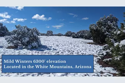 4 Parcels N Shady Oak 404-69-005 Road E #D, Show Low, AZ 85901 - Photo 3