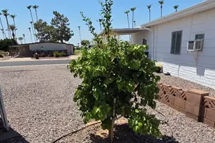 2227 N Nicklaus Dr, Mesa, AZ 85215 - Photo 21