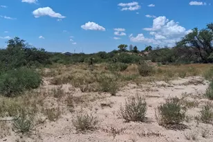 2040 E Benson Airport Rd, Benson, AZ 85602 - Photo 3