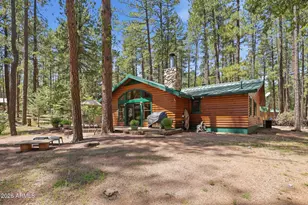 384 S Pumphouse Rd, Payson, AZ 85541 - Photo 37