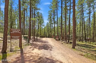 384 S Pumphouse Rd, Payson, AZ 85541 - Photo 45