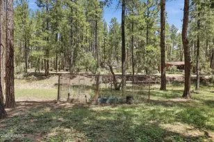 384 S Pumphouse Rd, Payson, AZ 85541 - Photo 43