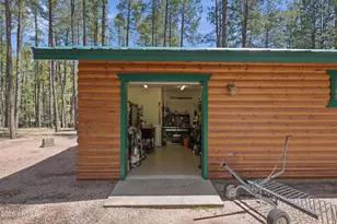 384 S Pumphouse Rd, Payson, AZ 85541 - Photo 33