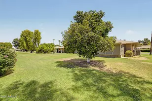 9416 N 110th Ave, Sun City, AZ 85351 - Photo 33