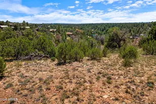 3620 Zane Grey Trl, Overgaard, AZ 85933 - Photo 1