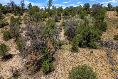 3620 Zane Grey Trail #42, Overgaard, AZ 85933 - Photo 3
