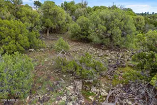 8281 &8283 Ridge Dr, Show Low, AZ 85901 - Photo 1
