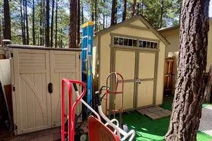 261 N Powder Horn Ln, Lakeside, AZ 85929 - Photo 19