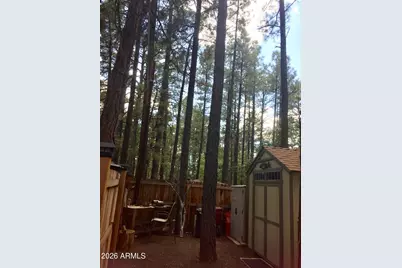 261 N Powder Horn Lane, Lakeside, AZ 85929 - Photo 19