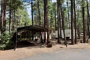 261 N Powder Horn Ln, Lakeside, AZ 85929 - Photo 11