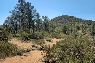 2400 E Rim Club Dr, Payson, AZ 85541 - Photo 1