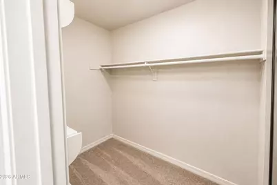 4517 E Desert View Drive, Phoenix, AZ 85044 - Photo 29