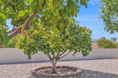 17424 N Lindgren Avenue, Sun City, AZ 85373 - Photo 33