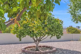 17424 N Lindgren Ave, Sun City, AZ 85373 - Photo 33