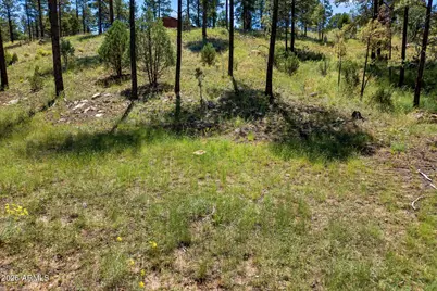2294 Constellation Lane #94, Overgaard, AZ 85933 - Photo 17