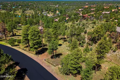 2294 Constellation Lane #94, Overgaard, AZ 85933 - Photo 13