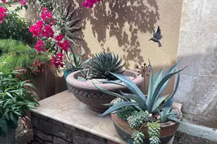 12923 W Roy Rogers Rd, Peoria, AZ 85383 - Photo 45