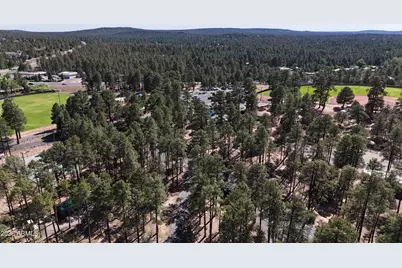 661 S Rock Ridge Drive, Show Low, AZ 85901 - Photo 37
