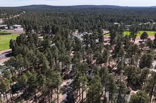 661 S Rock Ridge Dr, Show Low, AZ 85901 - Photo 37