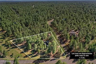 3579 Starlight Drive, Happy Jack, AZ 86024 - Photo 41