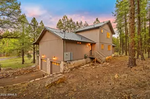 3579 Starlight Dr, Happy Jack, AZ 86024 - Photo 59