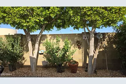 17200 W Bell Road #2319, Surprise, AZ 85374 - Photo 25
