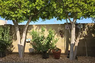 17200 W Bell Rd, Surprise, AZ 85374 - Photo 25