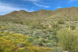 41701 N Golf Crest Rd, Anthem, AZ 85086 - Photo 83