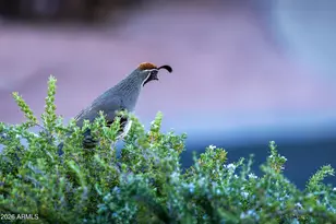 6380 E Starry Night Ct E, Cornville, AZ 86325 - Photo 27