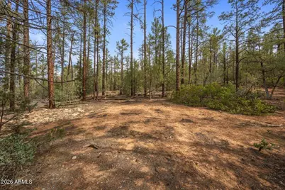 Tbd Pine Needle Drive #-, Show Low, AZ 85901 - Photo 1