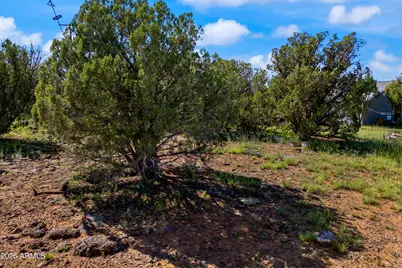 1845 Silver Lake Boulevard #8, Show Low, AZ 85901 - Photo 19