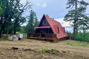 1584 Willow Mountain Rd, Happy Jack, AZ 86024 - Photo 11
