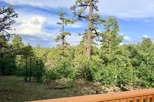 1584 Willow Mountain Rd, Happy Jack, AZ 86024 - Photo 3